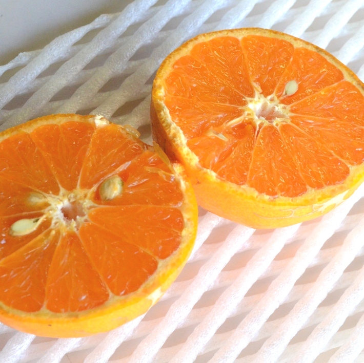 南津海（なつみ） 糖度13度以上  化粧箱入り 初夏の贈答用高級みかん 和歌山 中道平農園