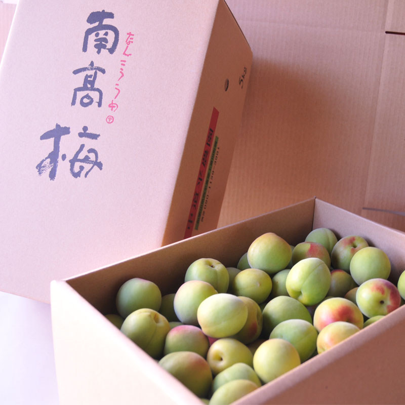 南高梅 完熟 Lサイズ  和歌山 中道平農園