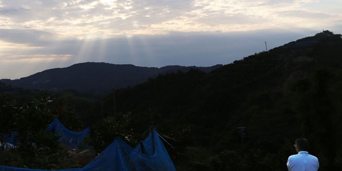 中道平農園のこだわり